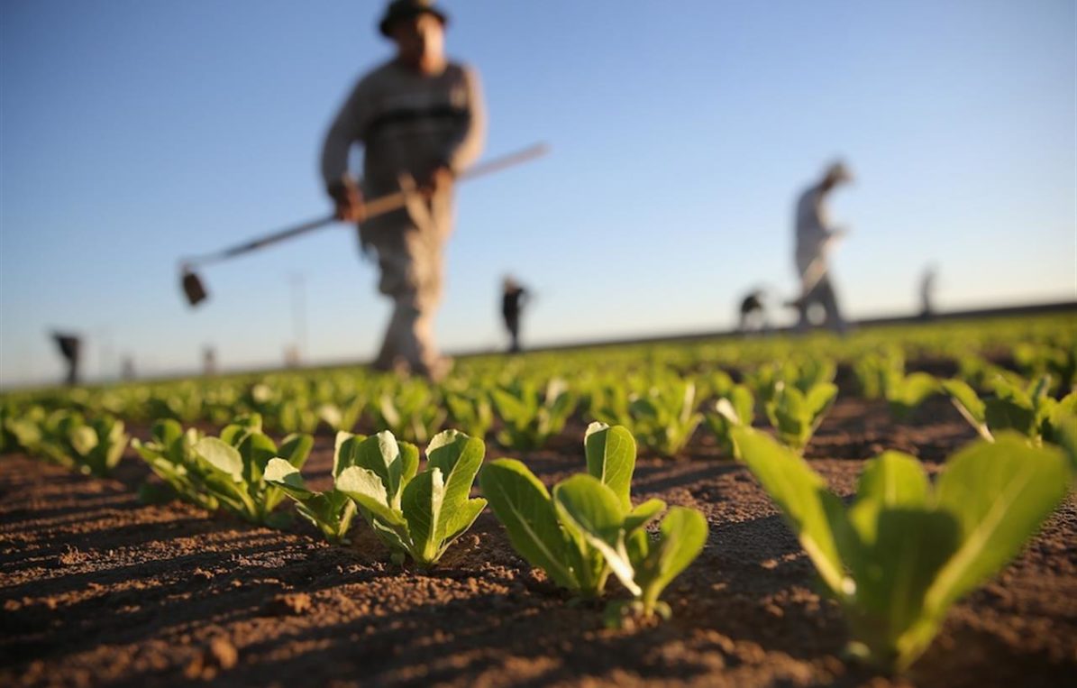 AgricolturaItaliana AgricolturaItaliana